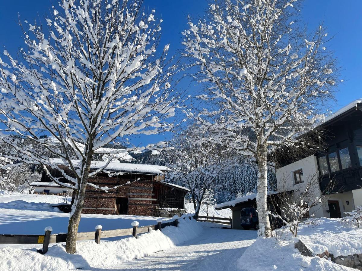 Ferienwohnung Riedmann Oberndorf in Tirol Dış mekan fotoğraf